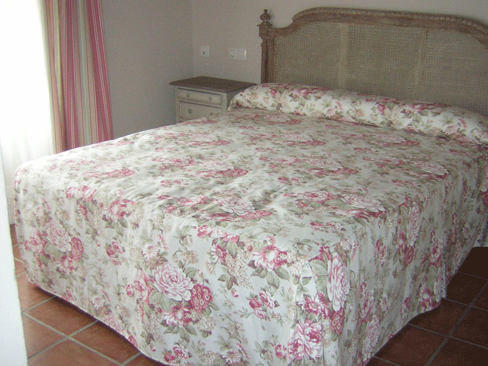 Hotel La Casona De Dona Petra Villarmentero de Campos Exteriér fotografie